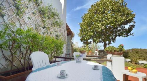 Villa Moma