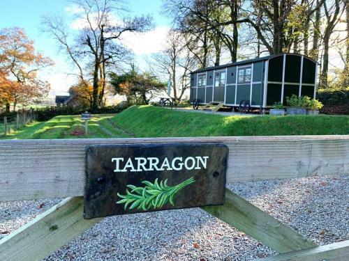 Tarragon - Uk36932