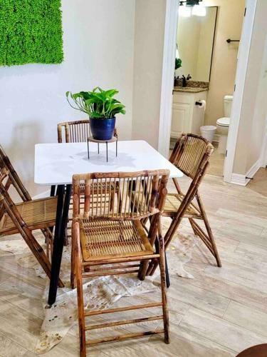 Luxury Downtown Apartment-2/2.5