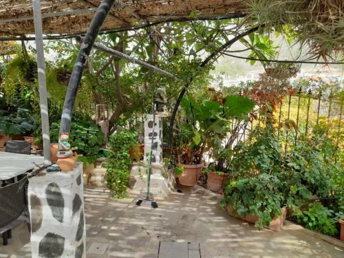 Villa Finca Fataga
