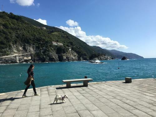 Apartamento Le Cinque Vele ***** Cinque Terre