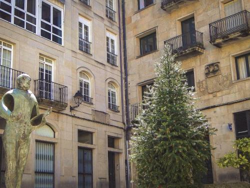 Inviting Apartment In Ourense With Private Terrace