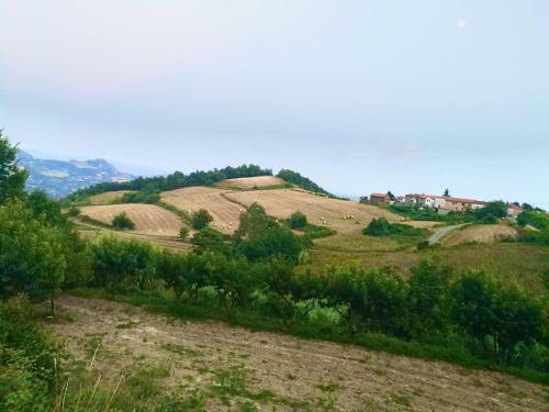 Apartamento Il Galletto Selvatico Di Case Mussa - Langhe