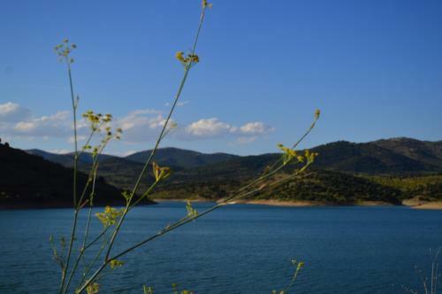 Casa Rural Los Lilos