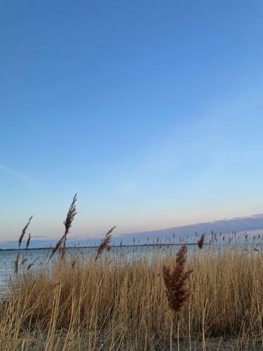 Moderner Bungalow In Boho-style, An Der Ostsee!