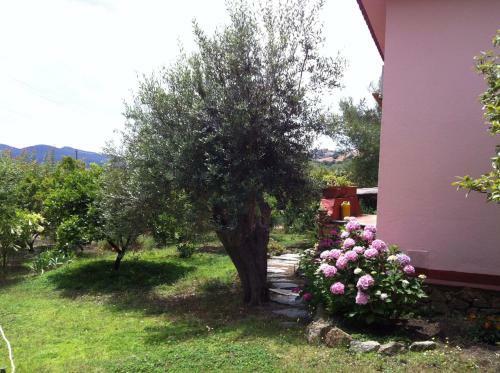 Villa Antares
