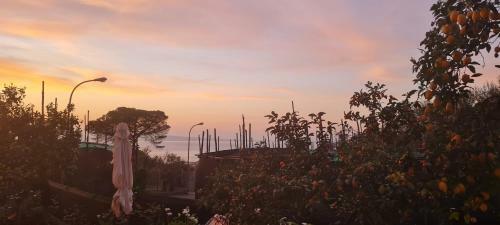 Rita Home B&B Sorrento