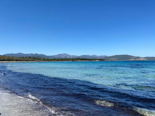 La Pavoncella Sul Mare