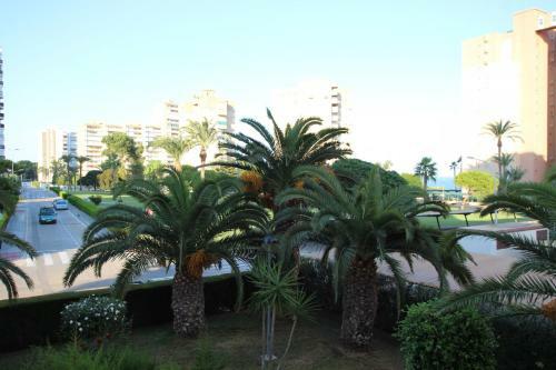 Apartamento Campoamor