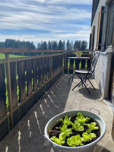 Apartamento Ferienhof Steingaden