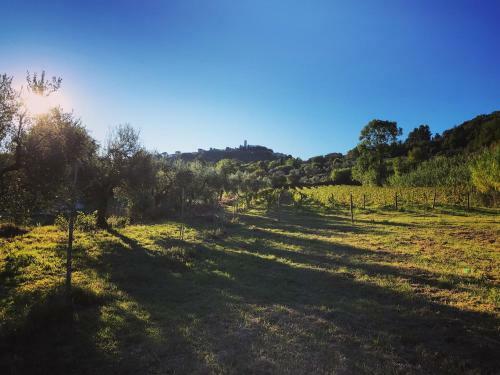 Agroturismo Le Giuncaie - Vigna Con Alloggio