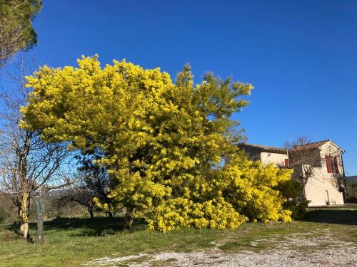 Agroturismo Le Giuncaie - Vigna Con Alloggio