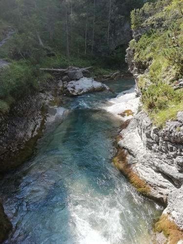 Hostal G�stehaus Alpenblick