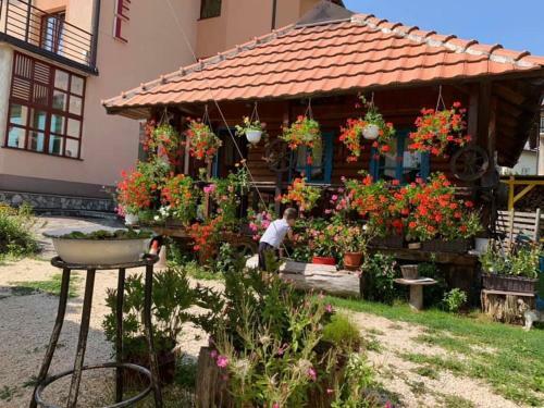 Hotel Dva Goluba