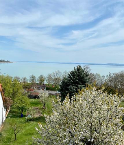 Apartamento R�zsa 19 Badacsony