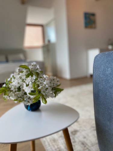 Apartamento R�zsa 19 Badacsony