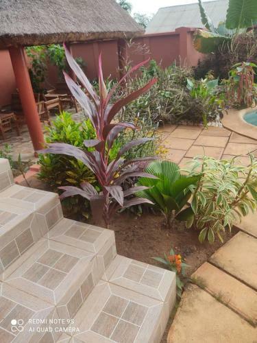 Apartment Bioguera 3 Rooms Terrace Pool View