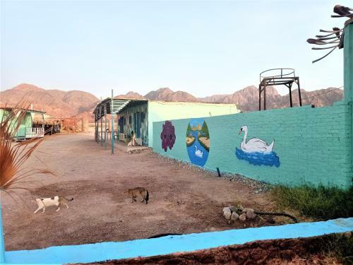 Sahara Beach Camp Nuwaiba