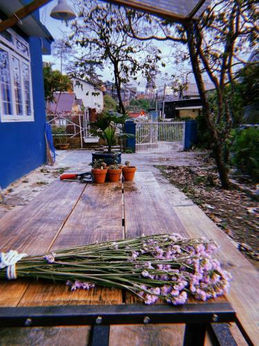 Daily Home