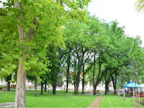 Hostal Cseng? Vend�gh�z