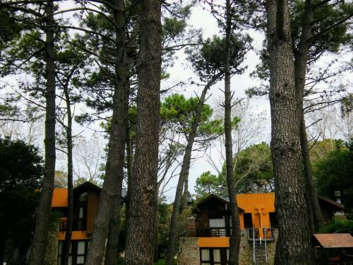 Lodge Caba�as Entreverdes
