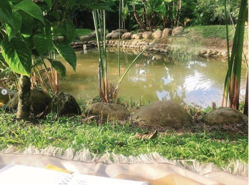 Villa Caba�a Privada Los Papiros