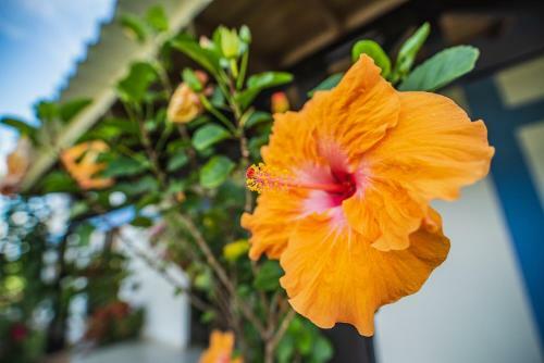 El Ocaso Finca Hotel