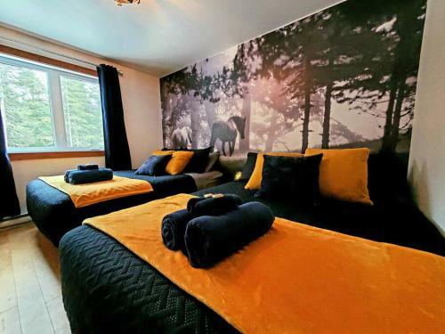 Le Western : Spa L Sauna L Bar L Billlard