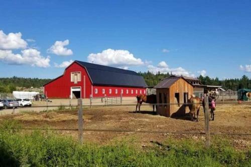 Le Western : Spa L Sauna L Bar L Billlard