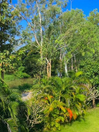 Luxury 5 Bedroom Private Pool Villa (riverfront)