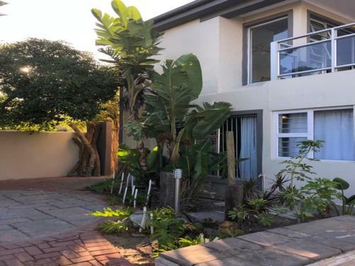 Apartamento Old Cape On The Marina - The Flamingo : Unit 8