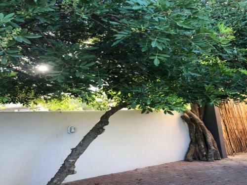 Apartamento Old Cape On The Marina - The Flamingo : Unit 8