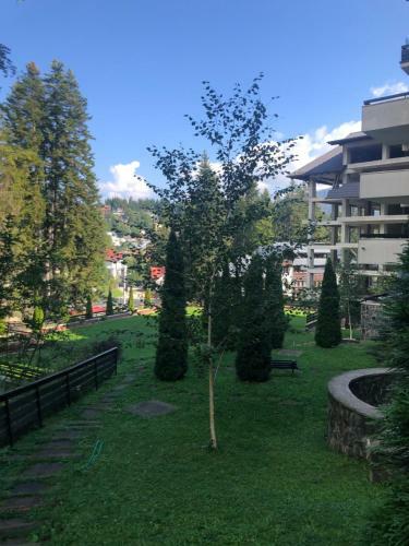 Sinaia Mountain Apartments