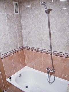Apartamentos Milenio