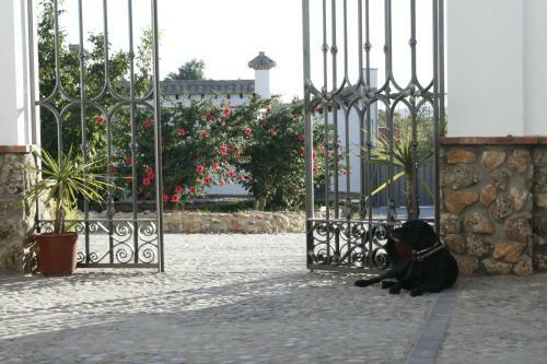 Hostal El Fog�n Del Duende