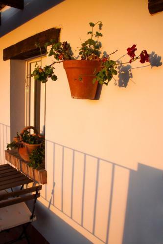 Hostal El Fog�n Del Duende