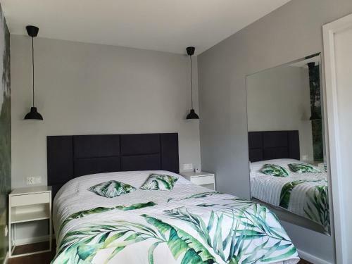 Green Apartment Mi?dzywodzie