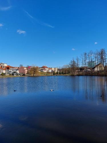 Apartament Ma?y Amfiteatr