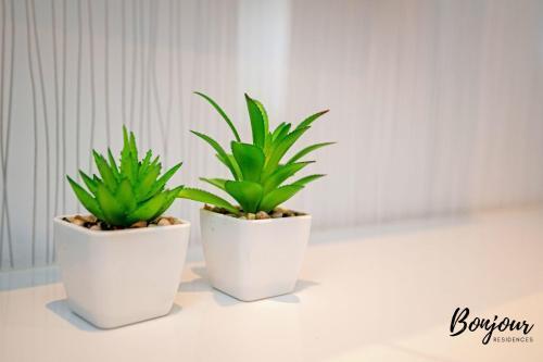 Apartamento Minerva Ct