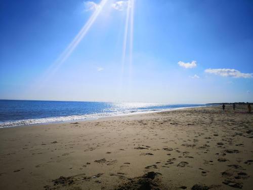 Sea Breeze Holiday Chalet Convenient For Beach