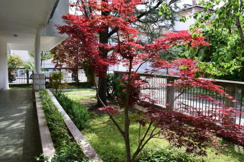 Villa Verdi Apartments