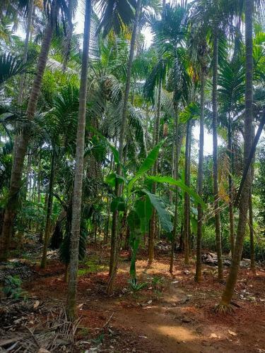 Sunsetview Home Stay Gokarna