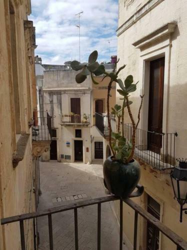 Apartamento La Casa Ocra
