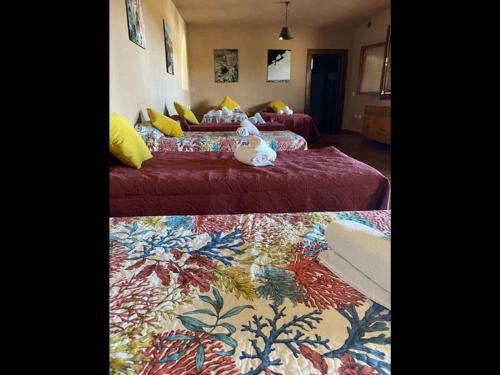 Finca Olivo 1-bed House& Mountain