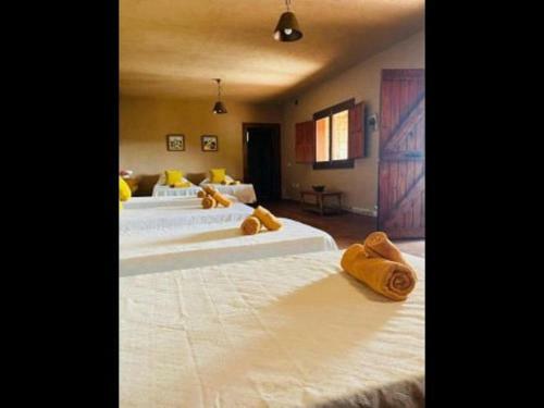 Finca Olivo 1-bed House& Mountain