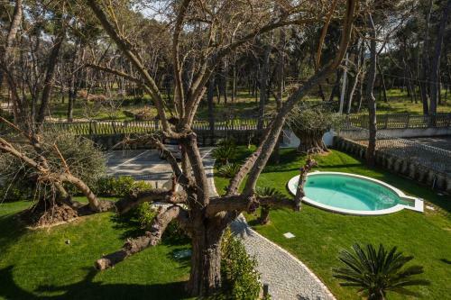 Bed & Breakfast La Riserva Dannunziana Luxury Suites