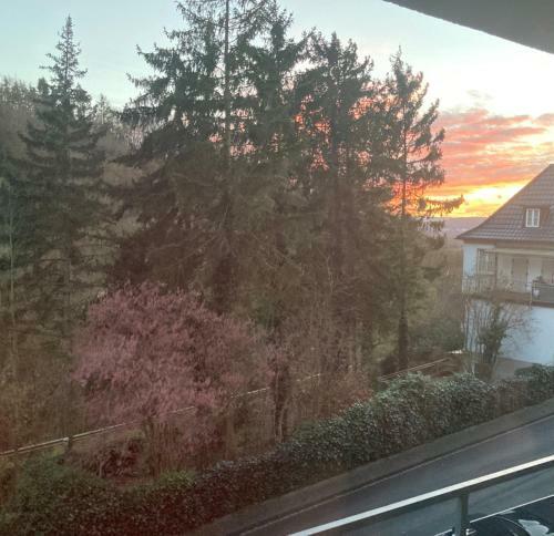 Bed & Breakfast Gro�z�giges Zimmer Mit Waldblick
