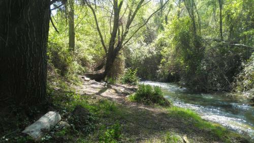 Captivating 1-bed Apartment In Pinos Genil