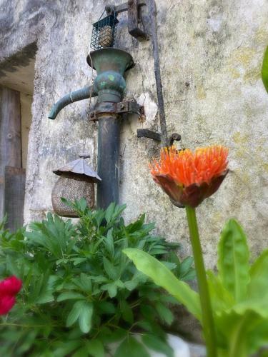 Serendipity Eymet B&B