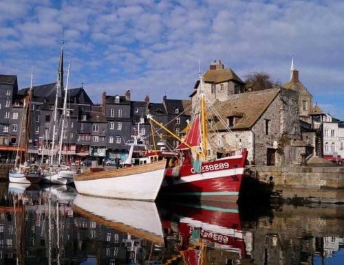 Apartamento Les Mouettes Du Port